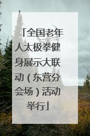 全国老年人太极拳健身展示大联动（东营分会场）活动举行