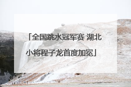 全国跳水冠军赛 湖北小将程子龙首度加冕