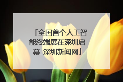 全国首个人工智能终端展在深圳启幕_深圳新闻网