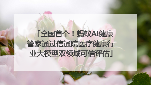 全国首个！蚂蚁AI健康管家通过信通院医疗健康行业大模型双领域可信评估