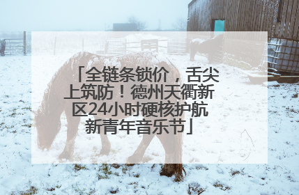 全链条锁价，舌尖上筑防！德州天衢新区24小时硬核护航新青年音乐节