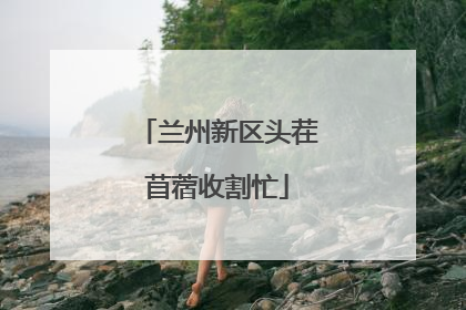 兰州新区头茬苜蓿收割忙