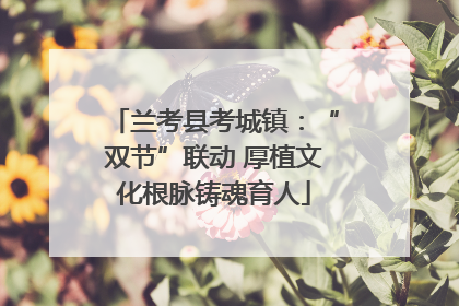 兰考县考城镇：“双节”联动 厚植文化根脉铸魂育人