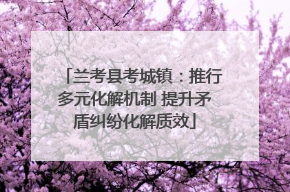 兰考县考城镇：推行多元化解机制 提升矛盾纠纷化解质效