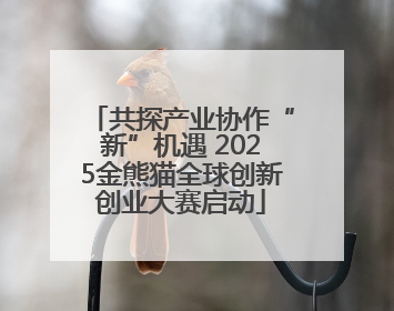 共探产业协作“新”机遇 2025金熊猫全球创新创业大赛启动