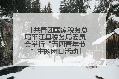 共青团国家税务总局平江县税务局委员会举行“五四青年节”主题团日活动