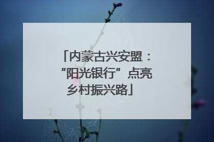 内蒙古兴安盟：“阳光银行”点亮乡村振兴路