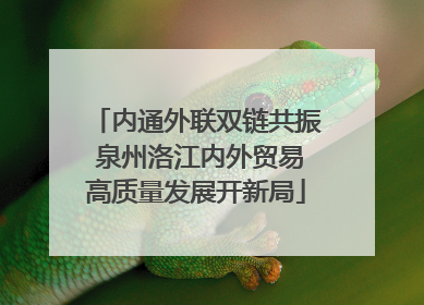 内通外联双链共振 泉州洛江内外贸易高质量发展开新局
