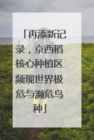 再添新记录，京西稻核心种植区频现世界极危与濒危鸟种