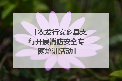 农发行安乡县支行开展消防安全专题培训活动