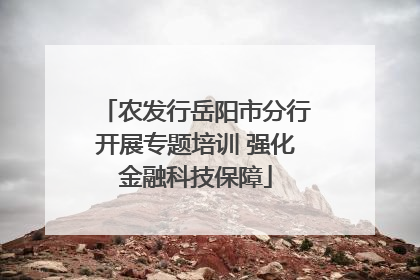 农发行岳阳市分行开展专题培训 强化金融科技保障