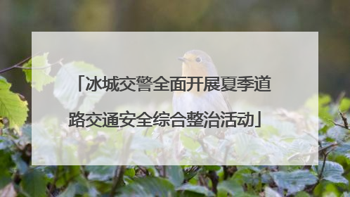 冰城交警全面开展夏季道路交通安全综合整治活动