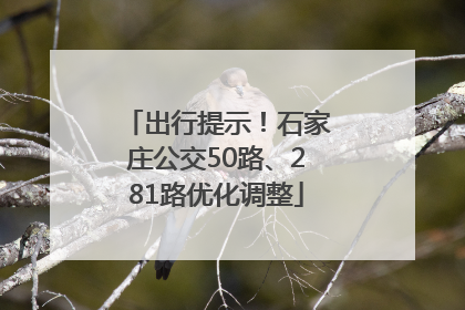 出行提示！石家庄公交50路、281路优化调整