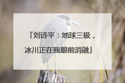 刘诗平：地球三极，冰川正在我眼前消融
