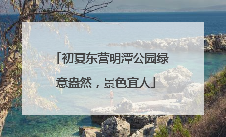 初夏东营明潭公园绿意盎然，景色宜人