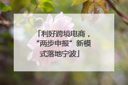 利好跨境电商，“两步申报”新模式落地宁波