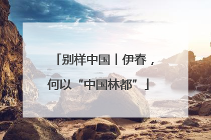 别样中国丨伊春，何以“中国林都”