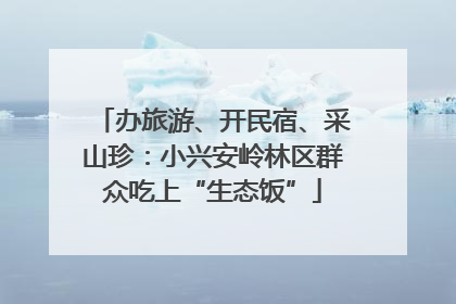 办旅游、开民宿、采山珍：小兴安岭林区群众吃上“生态饭”