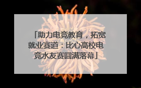 助力电竞教育，拓宽就业赛道：比心高校电竞水友赛圆满落幕