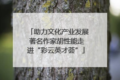助力文化产业发展 著名作家胡性能走进“彩云英才荟”
