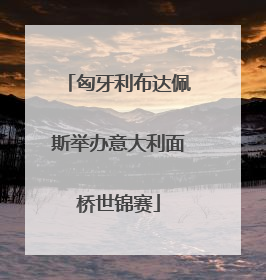 匈牙利布达佩斯举办意大利面桥世锦赛