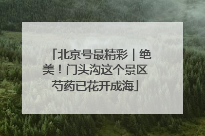 北京号最精彩｜绝美！门头沟这个景区芍药已花开成海