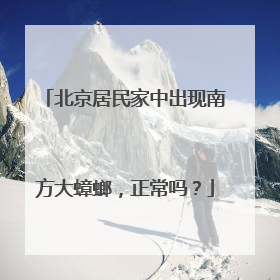 北京居民家中出现南方大蟑螂，正常吗？