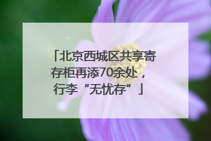 北京西城区共享寄存柜再添70余处，行李“无忧存”