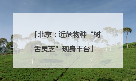 北京：近危物种“树舌灵芝”现身丰台