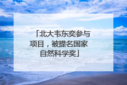 北大韦东奕参与项目，被提名国家自然科学奖