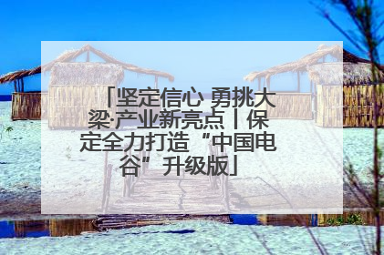 坚定信心 勇挑大梁·产业新亮点丨保定全力打造“中国电谷”升级版
