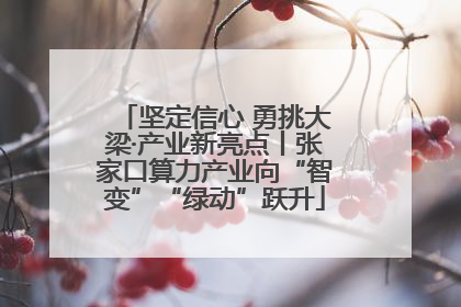 坚定信心 勇挑大梁·产业新亮点丨张家口算力产业向“智变”“绿动”跃升