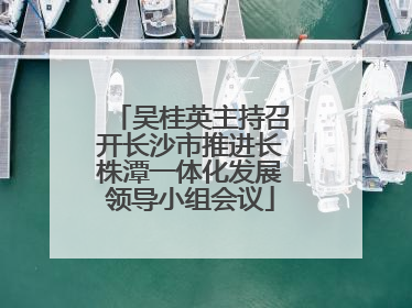 吴桂英主持召开长沙市推进长株潭一体化发展领导小组会议