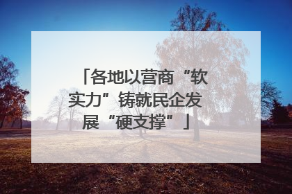 各地以营商“软实力”铸就民企发展“硬支撑”