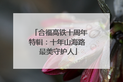合福高铁十周年特辑：十年山海路 最美守护人