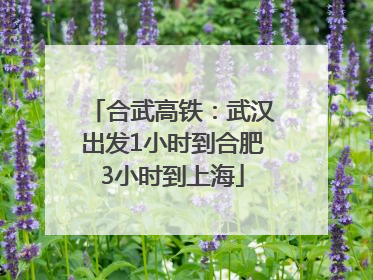 合武高铁：武汉出发1小时到合肥3小时到上海