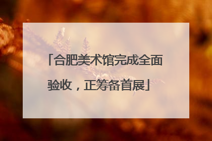合肥美术馆完成全面验收，正筹备首展