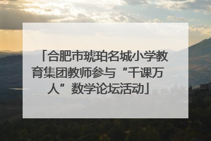 合肥市琥珀名城小学教育集团教师参与“千课万人”数学论坛活动