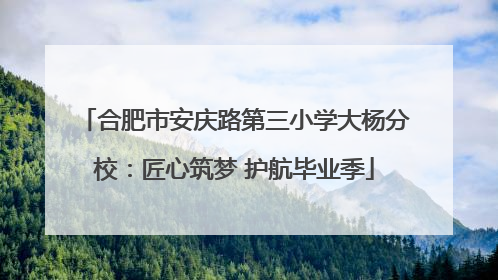 合肥市安庆路第三小学大杨分校：匠心筑梦 护航毕业季