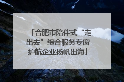 合肥市陪伴式“走出去”综合服务专窗护航企业扬帆出海