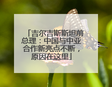 吉尔吉斯斯坦前总理：中国与中亚合作新亮点不断，原因在这里