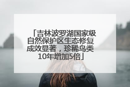吉林波罗湖国家级自然保护区生态修复成效显著，珍稀鸟类10年增加5倍