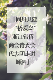 同舟共建“侨爱岛” 浙江省侨商会青委会代表团走进嵊泗