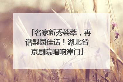 名家新秀荟萃，再谱梨园佳话！湖北省京剧院唱响津门