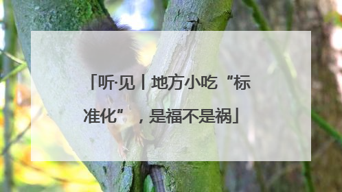 听·见丨地方小吃“标准化”，是福不是祸