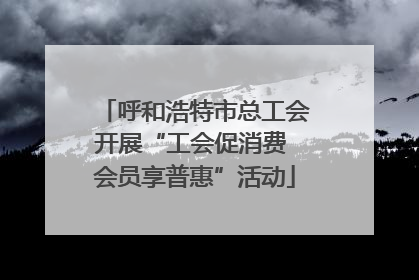 呼和浩特市总工会开展“工会促消费 会员享普惠”活动