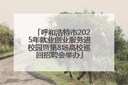 呼和浩特市2025年就业创业服务进校园暨第8场高校巡回招聘会举办
