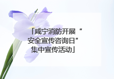 咸宁消防开展“安全宣传咨询日”集中宣传活动