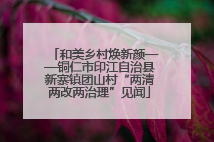 和美乡村焕新颜——铜仁市印江自治县新寨镇团山村“两清两改两治理”见闻