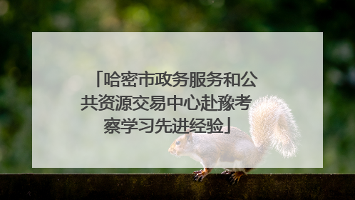 哈密市政务服务和公共资源交易中心赴豫考察学习先进经验